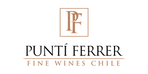 punti ferrer chilean fine wine